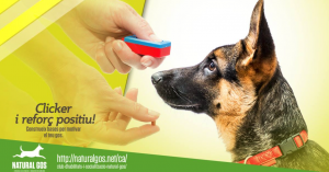 Campaña de marketing online en Facebook